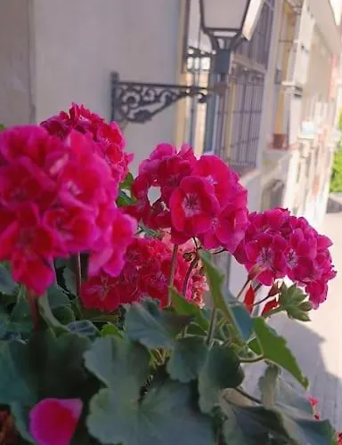 Duplex En Casco Historico A 7 Min De La Playa Alicante