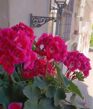 Duplex En Casco Historico A 7 Min De La Playa Alicante
